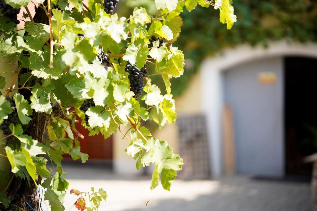 Weingut Martin Blass エアラブルン エクステリア 写真